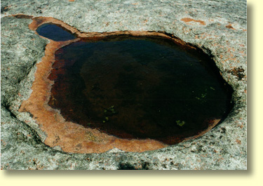 Shallow Rock Pans are filled with water for much of the year. Algae and other water plants can be found growing in them.